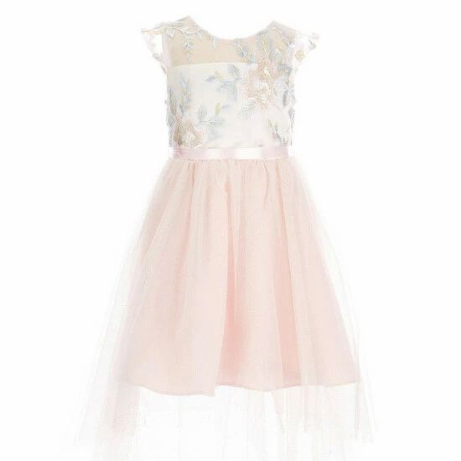 Kids * | Outlet Rare Editions Little Girls 2T-6X Sleeveless Embroidered Mesh Illusion High-Low Dress Blush Multi