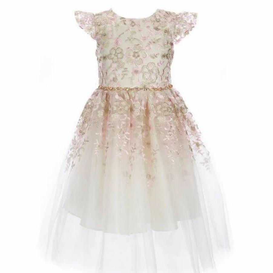 Kids * | Outlet Rare Editions Little Girls 2T-6X Flutter Sleeve Jeweled Waist Floral Embroidered Mesh Party Dress Ivory