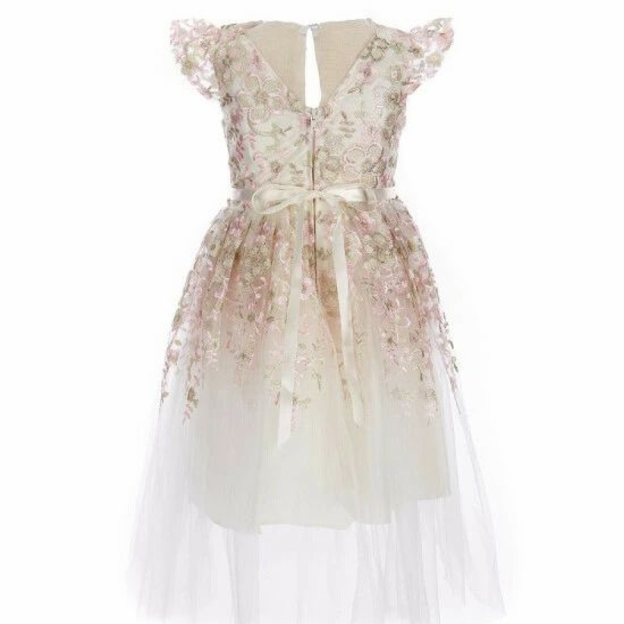 Kids * | Outlet Rare Editions Little Girls 2T-6X Flutter Sleeve Jeweled Waist Floral Embroidered Mesh Party Dress Ivory