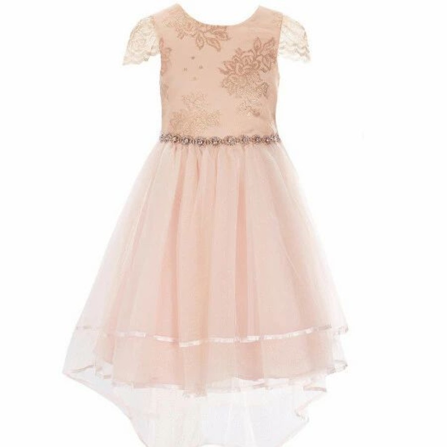 Kids * | Wholesale Rare Editions Little Girls 4-6X Short Sleeve Foiled Lace-To-Mesh Dress Blush