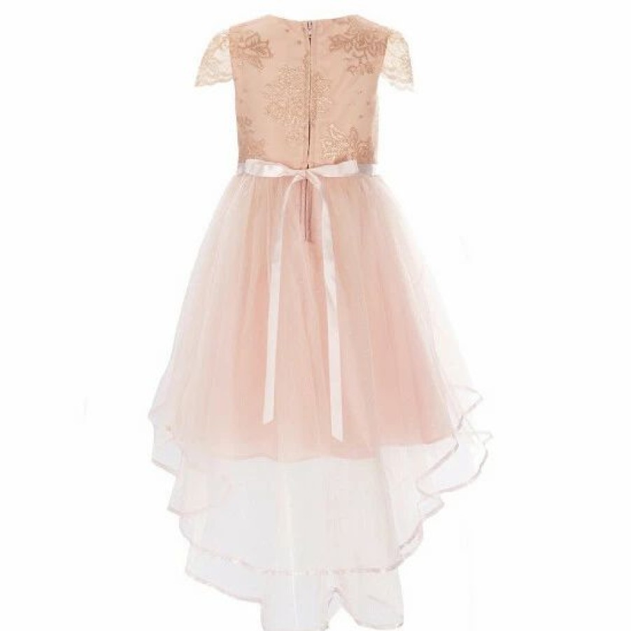 Kids * | Wholesale Rare Editions Little Girls 4-6X Short Sleeve Foiled Lace-To-Mesh Dress Blush