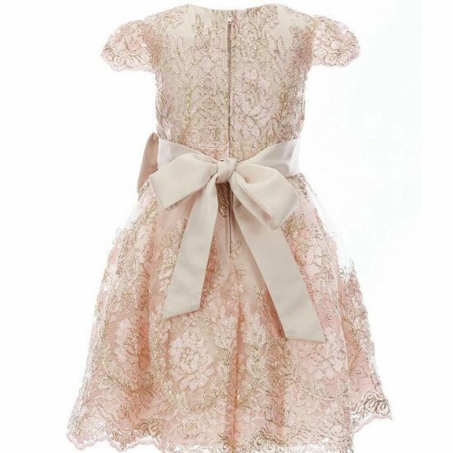 Kids * | Buy Rare Editions Little Girls 2T-6X Satin-Bow Embroidered-Floral-Lace Fit-And-Flare Dress Taupe/Gold/Light Rose