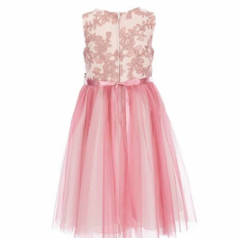 Kids * | Hot Sale Rare Editions Little Girls 2T-6X Sleeveless Floral Embroidered Mesh Beaded Waist Two-Tone Tulle Skirt Party Dress Pink