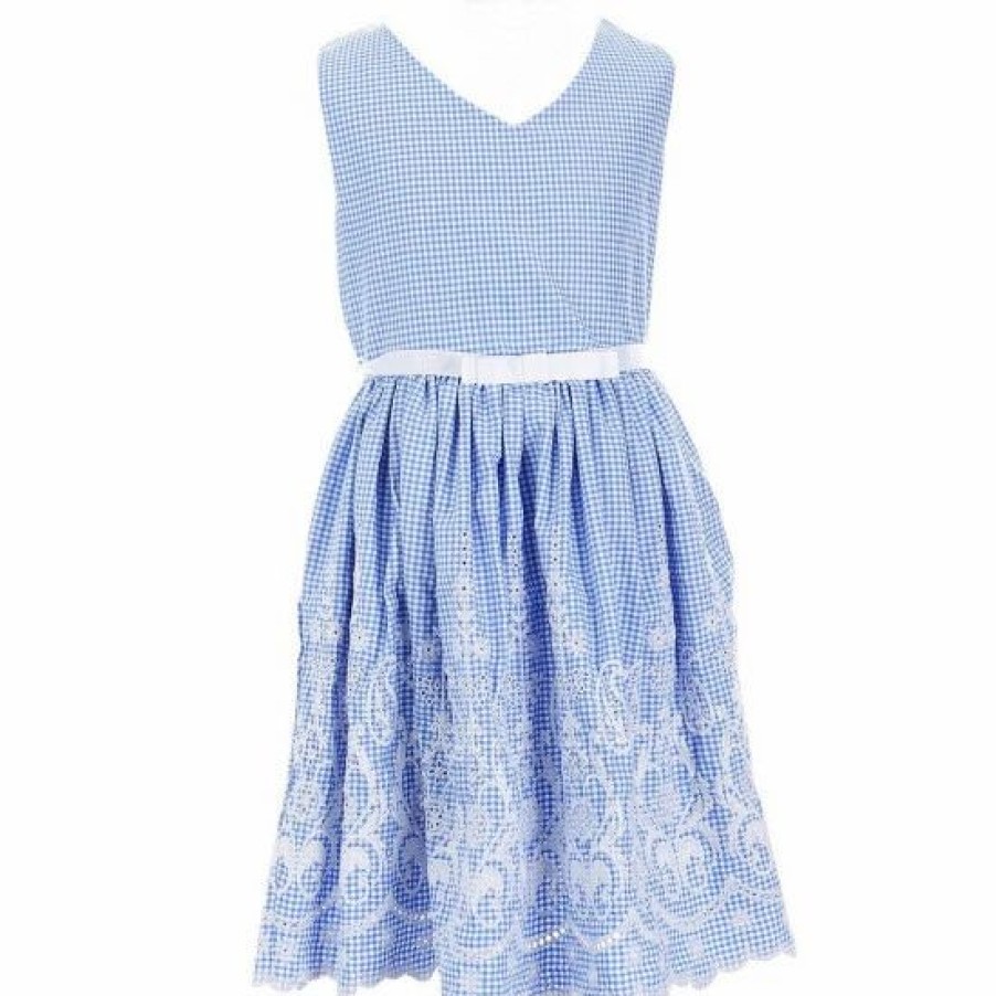 Kids * | Cheap Rare Editions Big Girls 7-16 Sleeveless V-Neck Embroidered Gingham Dress Blue