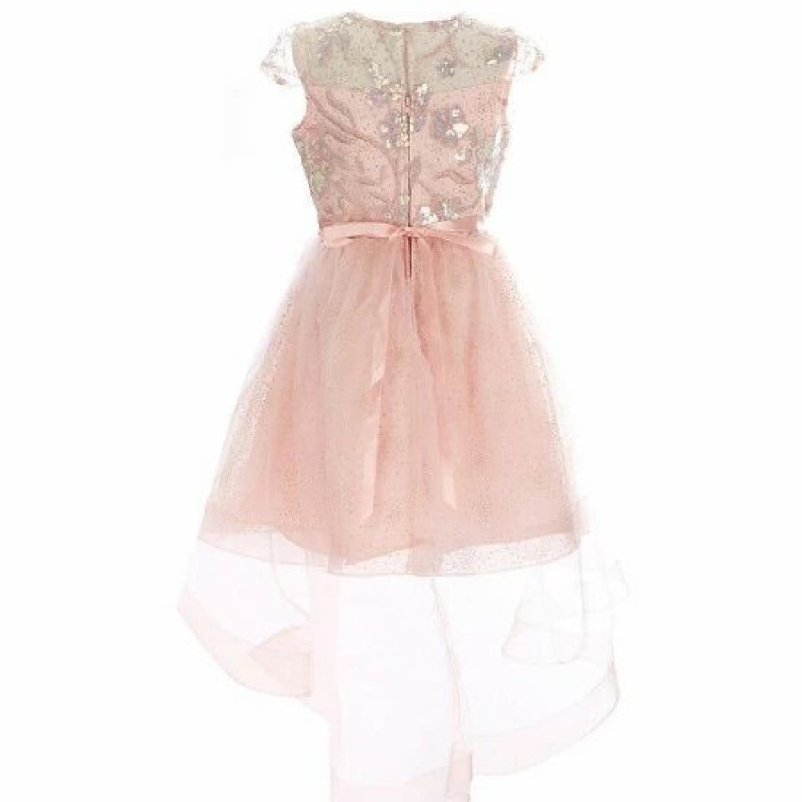 Kids * | Cheap Rare Editions Little Girls 2T-6X Glitter Sequin-Embellished Embroidered Bodice Mesh-Skirted Fit-And-Flare Dress Blush