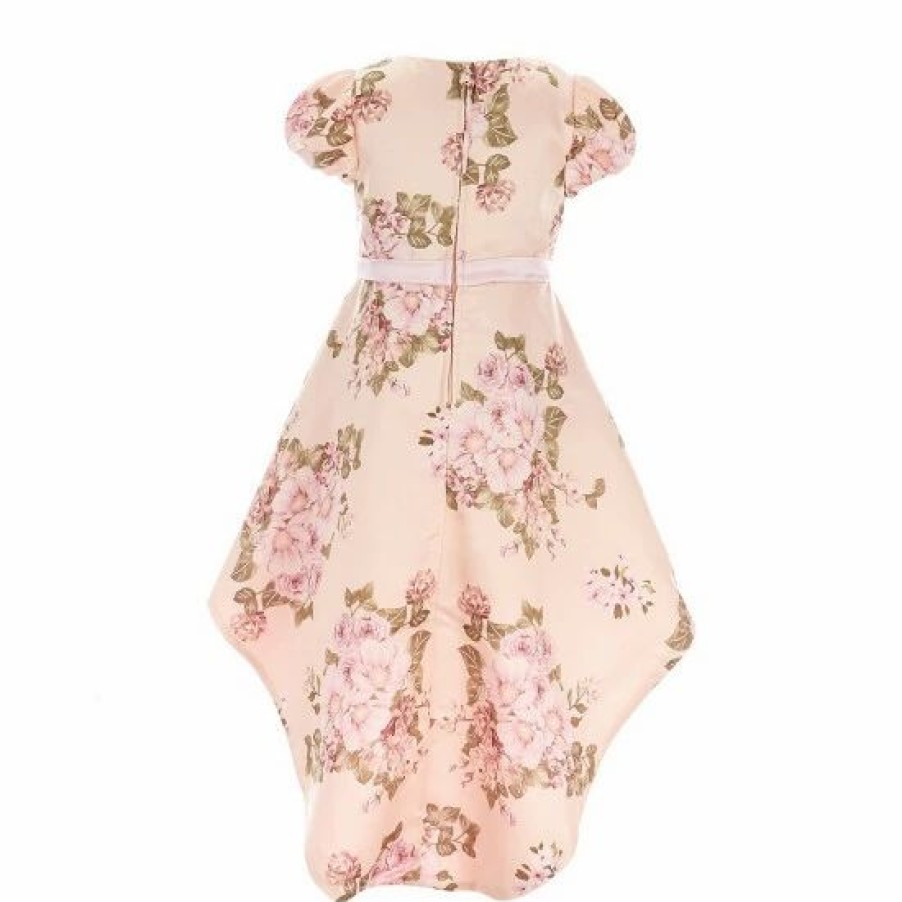 Kids * | Best Deal Rare Editions Little Girls 2T-6X Cap-Sleeve Floral-Printed Ballgown Taupe