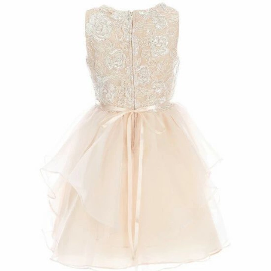 Kids * | Best Pirce Rare Editions Big Girls 7-16 Sleeveless Sequin Embroidered Bodice Mesh Organza Dress Blush