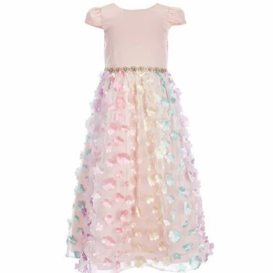 Kids * | Buy Rare Editions Little Girls 4-6X Satin Cap Sleeve Multi-Color 3D Flower Appliqued Mesh Skirt Dress Blush Multi