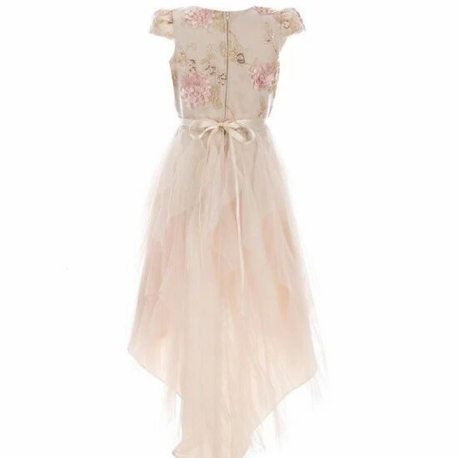 Kids * | Coupon Rare Editions Big Girls 7-16 Cap Sleeve Floral Embroidered Soutache Mesh Skirt Dress Taupe