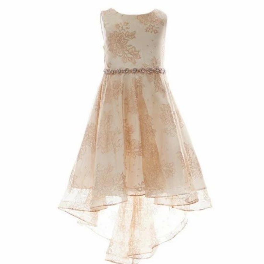 Kids * | Flash Sale Rare Editions Little Girls 2T-6X Foil Lace Floral Hi-Lo Dress Taupe