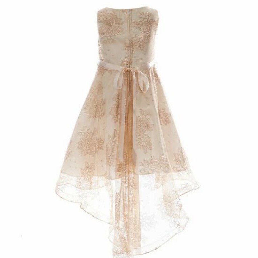 Kids * | Flash Sale Rare Editions Little Girls 2T-6X Foil Lace Floral Hi-Lo Dress Taupe