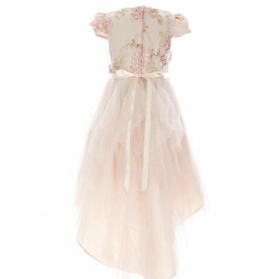 Kids * | Best Pirce Rare Editions Little Girls 2T-6X Floral-Soutache-Embroidered Bodice Mesh High-Low-Hem Skirted Ballgown Taupe