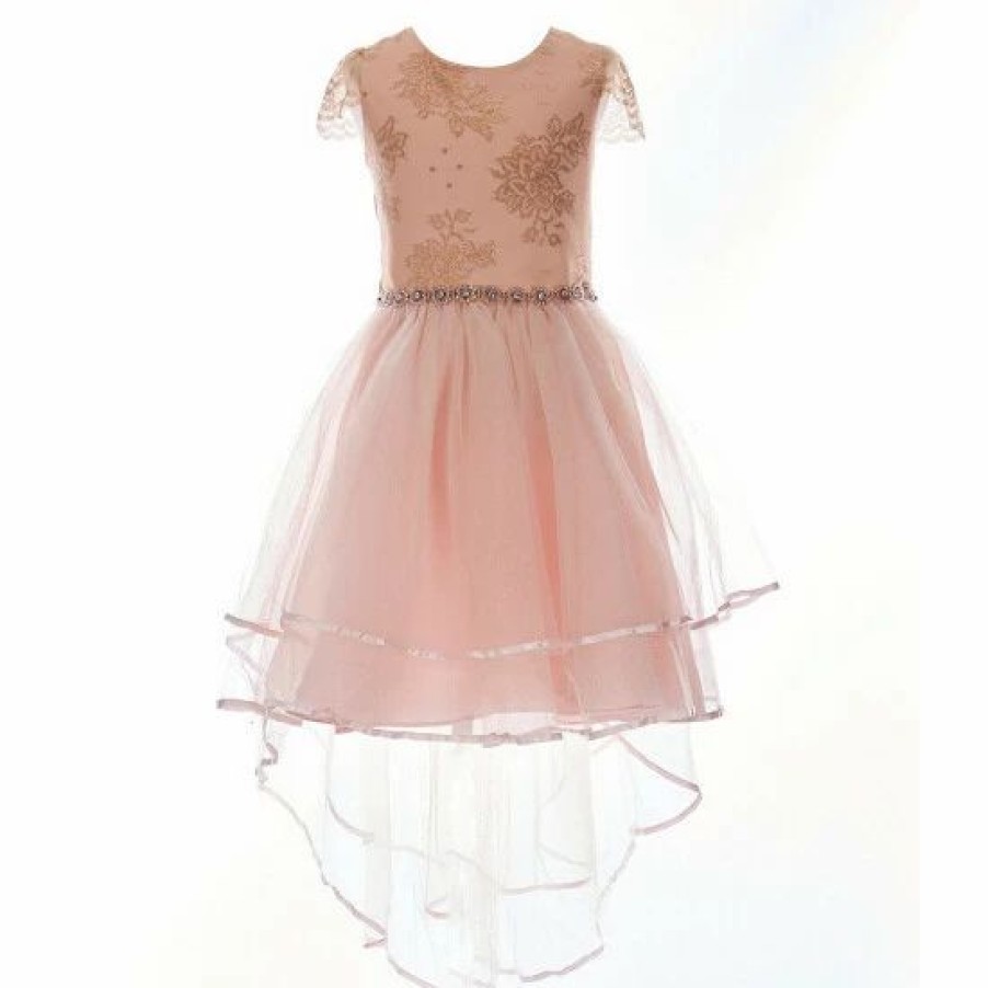 Kids * | Cheapest Rare Editions Big Girls 7-16 Short Sleeve Foiled Lace-To-Mesh Dress Blush