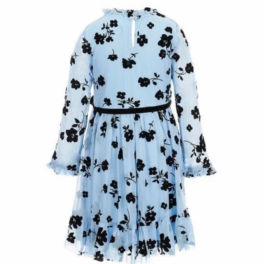 Kids * | New Rare Editions Little Girls 4-6X Long-Sleeve Ruffled Flocked Mesh Dress Periwinkle